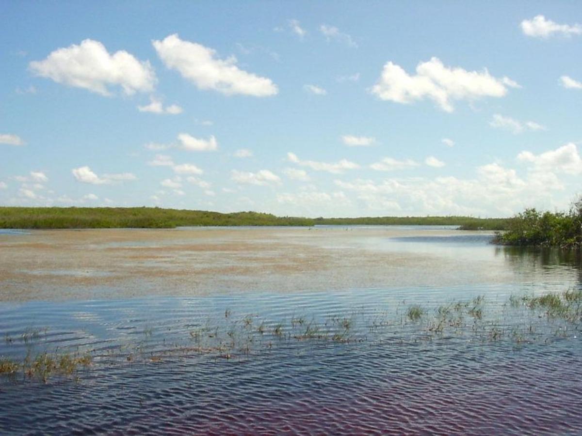 James Cistern Buttonwood Reserve 1D المظهر الخارجي الصورة